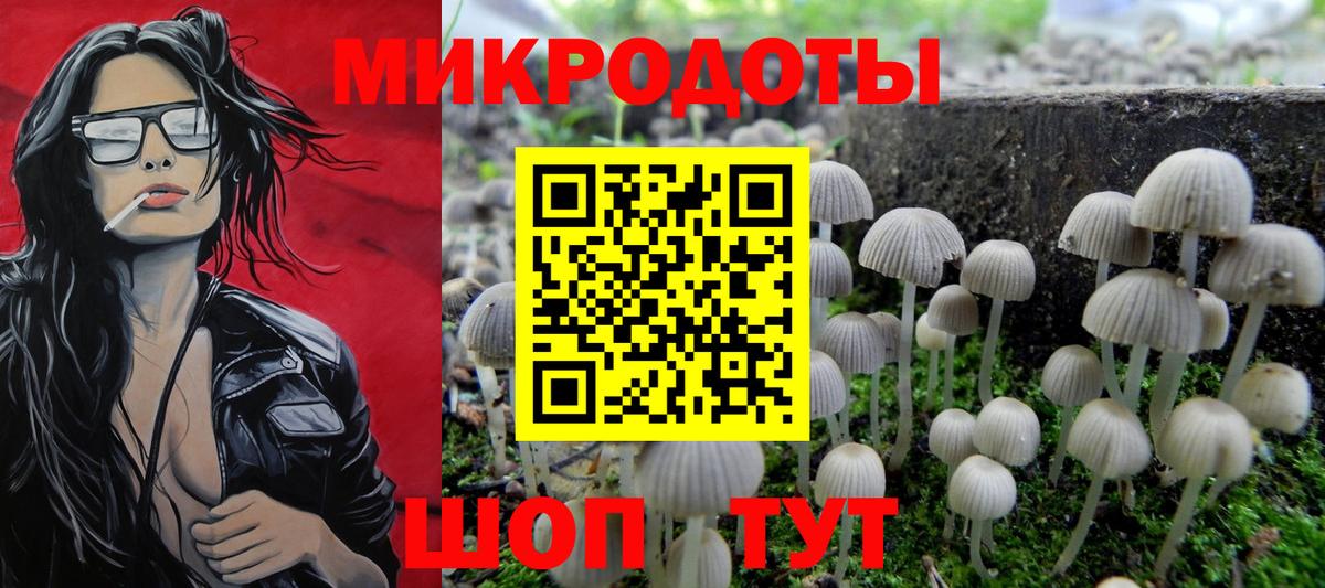 Галлюциногенные грибы мухоморы Ноябрьск